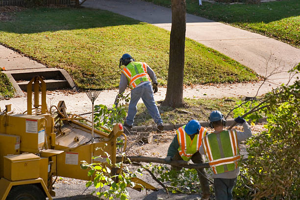 Best Seasonal Cleanup  in Twinsburg Heights, OH